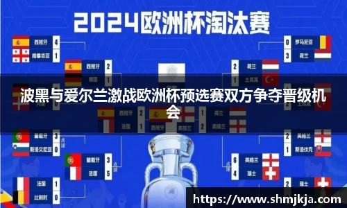 波黑与爱尔兰激战欧洲杯预选赛双方争夺晋级机会