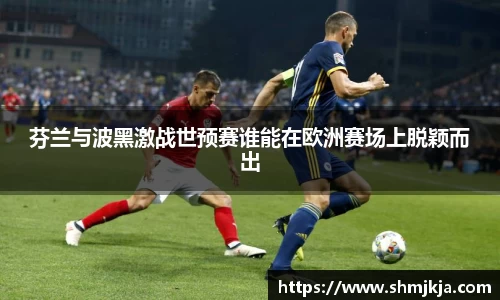 芬兰与波黑激战世预赛谁能在欧洲赛场上脱颖而出